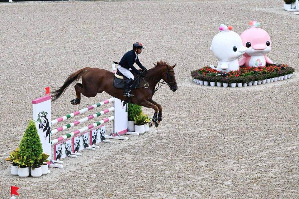 了正赛氛围, 据了解 了正赛氛围, 据了解