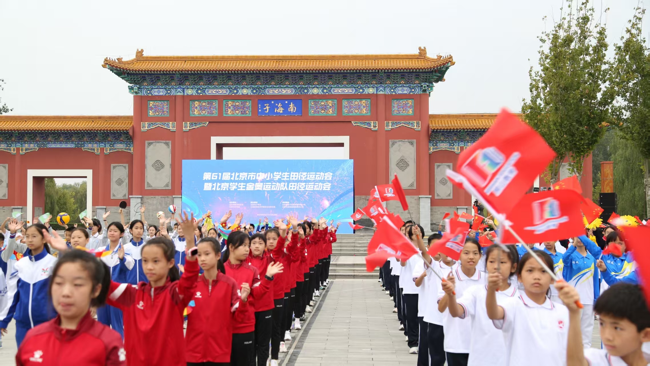 img, 寓意深远, 育后备人才